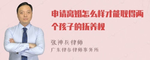 申请离婚怎么样才能取得两个孩子的抚养权