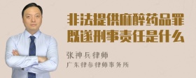 非法提供麻醉药品罪既遂刑事责任是什么