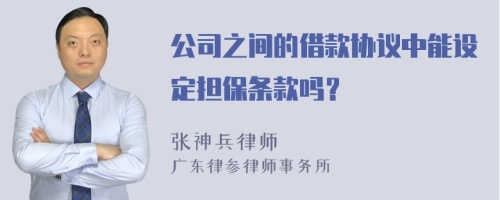 公司之间的借款协议中能设定担保条款吗？