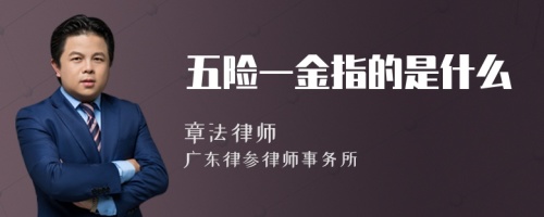 五险一金指的是什么