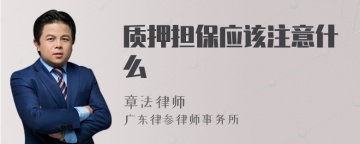 质押担保应该注意什么