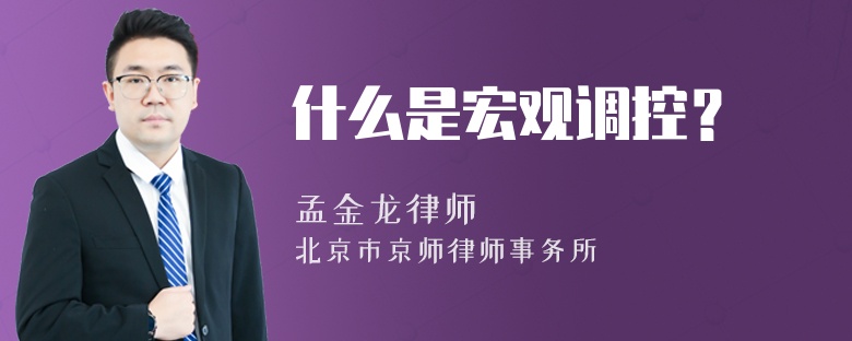 什么是宏观调控？