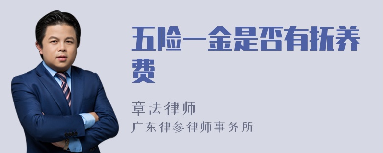 五险一金是否有抚养费