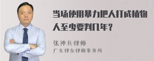 当场使用暴力把人打成植物人至少要判几年？