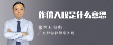 作价入股是什么意思