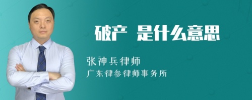  破产 是什么意思