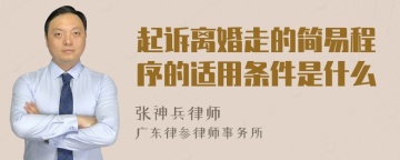 起诉离婚走的简易程序的适用条件是什么