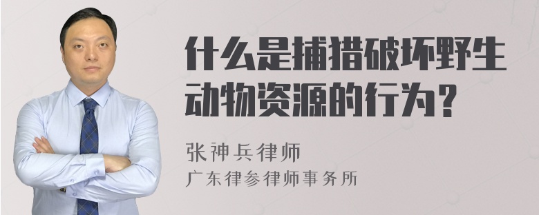 什么是捕猎破坏野生动物资源的行为？