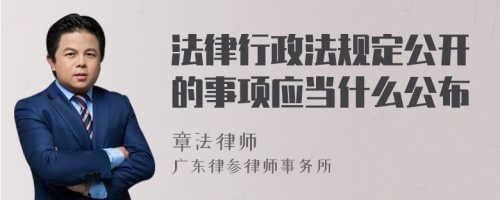 法律行政法规定公开的事项应当什么公布