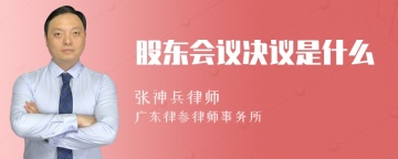 股东会议决议是什么