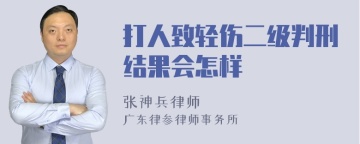 打人致轻伤二级判刑结果会怎样