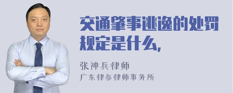 交通肇事逃逸的处罚规定是什么，