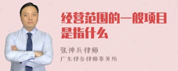 经营范围的一般项目是指什么