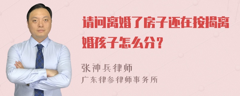 请问离婚了房子还在按揭离婚孩子怎么分？