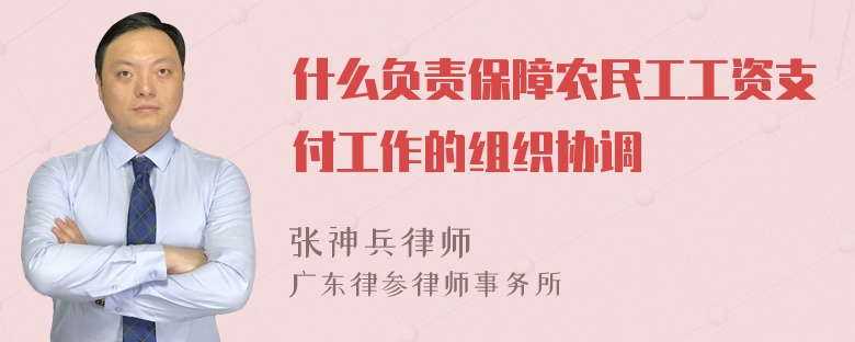 什么负责保障农民工工资支付工作的组织协调