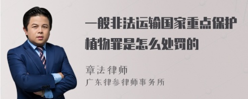 一般非法运输国家重点保护植物罪是怎么处罚的