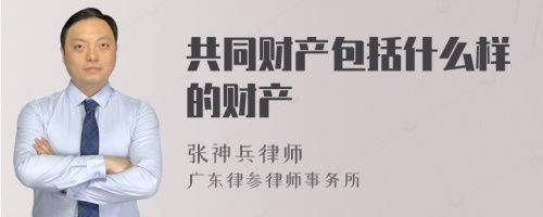 共同财产包括什么样的财产