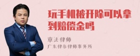 玩手机被开除可以拿到赔偿金吗