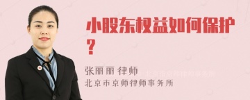 小股东权益如何保护？