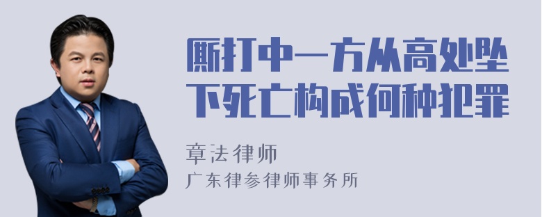 厮打中一方从高处坠下死亡构成何种犯罪