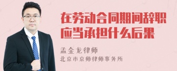 在劳动合同期间辞职应当承担什么后果