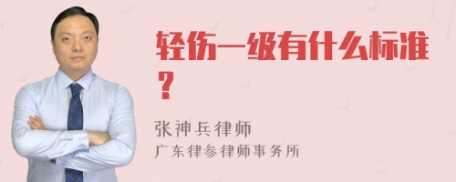 轻伤一级有什么标准？