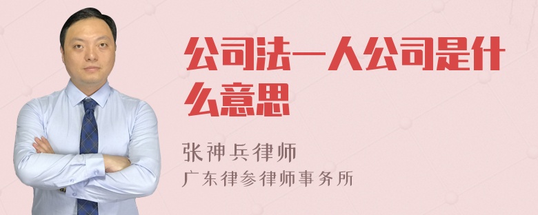 公司法一人公司是什么意思