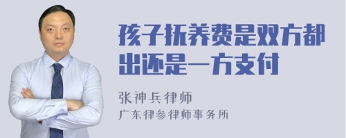 孩子抚养费是双方都出还是一方支付