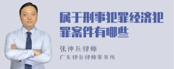 属于刑事犯罪经济犯罪案件有哪些