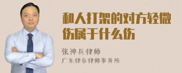 和人打架的对方轻微伤属于什么伤