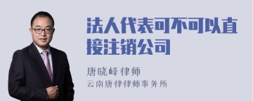 法人代表可不可以直接注销公司