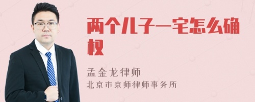 两个儿子一宅怎么确权