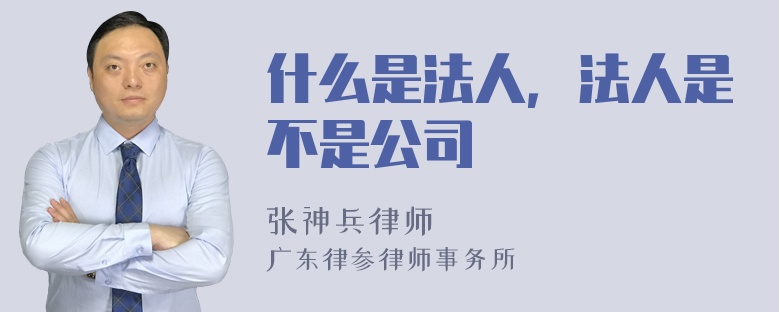 什么是法人，法人是不是公司