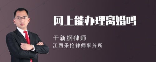 网上能办理离婚吗