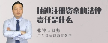 抽逃注册资金的法律责任是什么