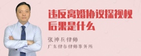 违反离婚协议探视权后果是什么