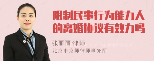 限制民事行为能力人的离婚协议有效力吗