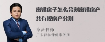 离婚房子怎么分割离婚房产共有权房产分割