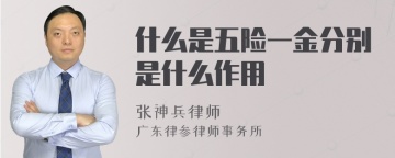 什么是五险一金分别是什么作用