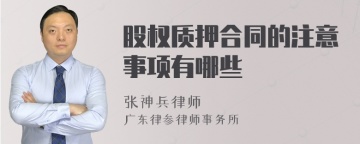 股权质押合同的注意事项有哪些