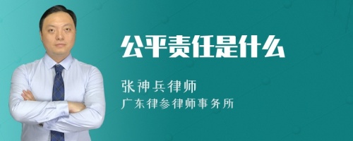 公平责任是什么