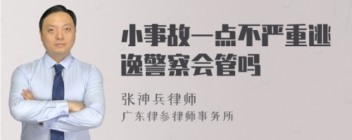 小事故一点不严重逃逸警察会管吗