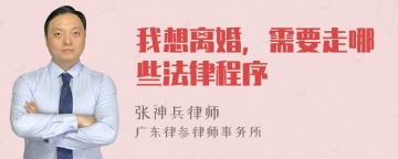 我想离婚，需要走哪些法律程序