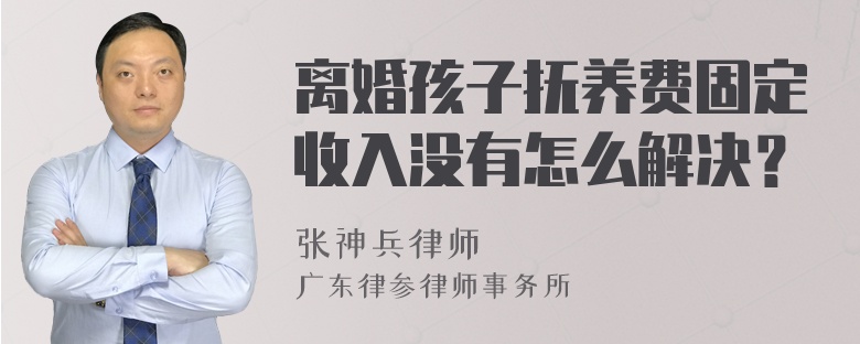 离婚孩子抚养费固定收入没有怎么解决？