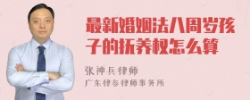 最新婚姻法八周岁孩子的抚养权怎么算