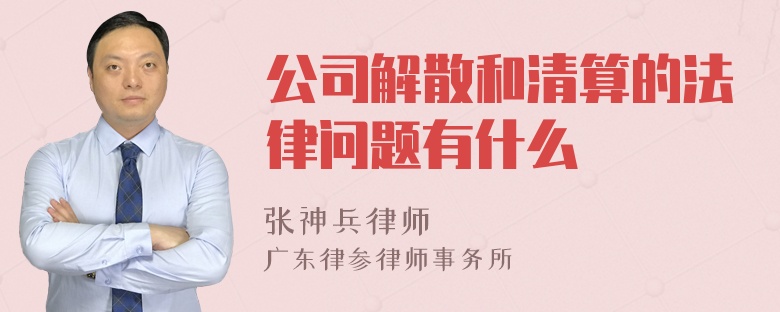 公司解散和清算的法律问题有什么