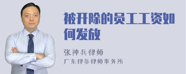 被开除的员工工资如何发放