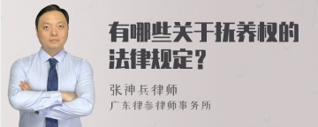 有哪些关于抚养权的法律规定？