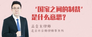 ‘国家之间的制裁’是什么意思？