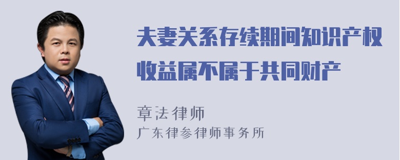 夫妻关系存续期间知识产权收益属不属于共同财产